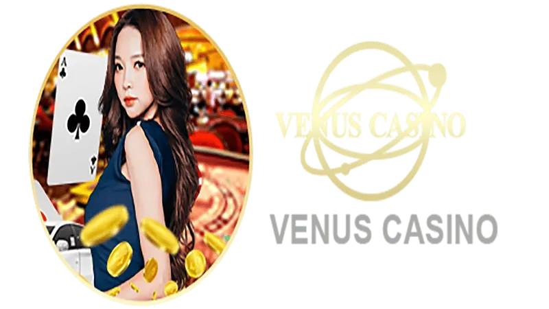 fulltbet Informações básicas sobre o saguão do cassino Venus